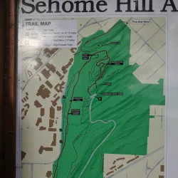 Sehome Hill Arboretum - Bellingham