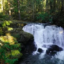 Whatcom Falls Park - Bellingham