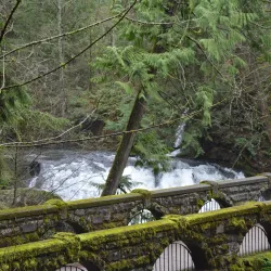 Whatcom Falls Park - Bellingham