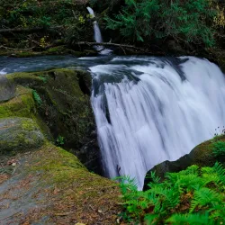 Whatcom Falls Park - Bellingham