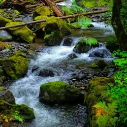 Whatcom Falls Park - Bellingham