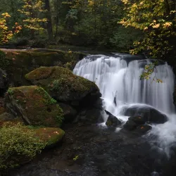 Whatcom Falls Park - Bellingham