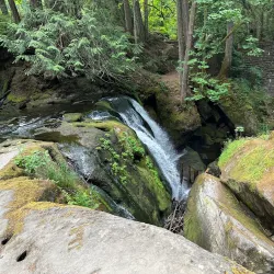 Whatcom Falls Park - Bellingham