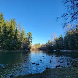 Whatcom Falls Park - Bellingham