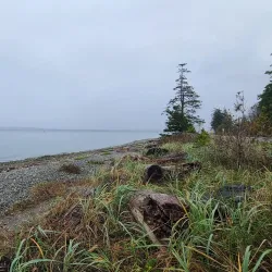Birch Bay State Park - Blaine