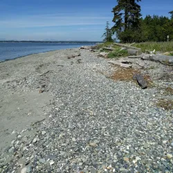 Birch Bay State Park - Blaine