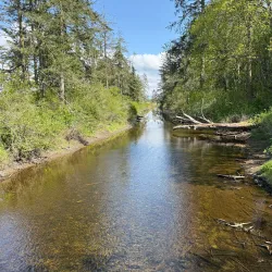 Birch Bay State Park - Blaine