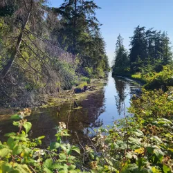 Birch Bay State Park - Blaine