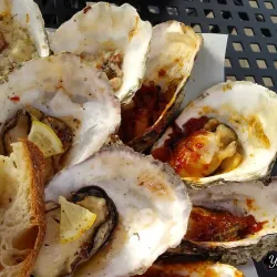 Drayton Harbor Wildlife Refuge - Blaine