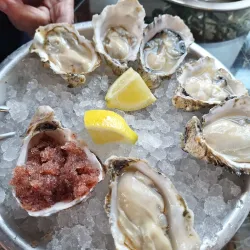 Drayton Harbor Wildlife Refuge - Blaine