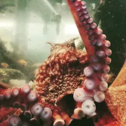 Marine Life Center - Blaine