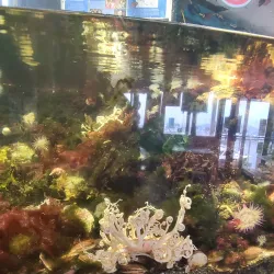 Marine Life Center - Blaine