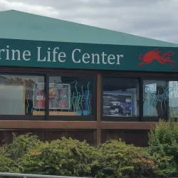 Marine Life Center - Blaine