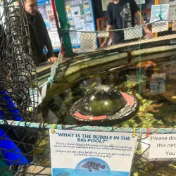 Marine Life Center - Blaine