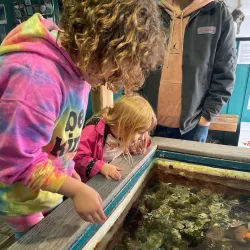 Marine Life Center - Blaine