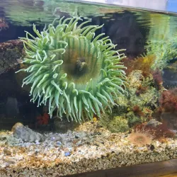 Marine Life Center - Blaine
