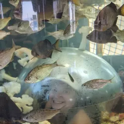 Marine Life Center - Blaine