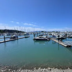 Marine Life Center - Blaine