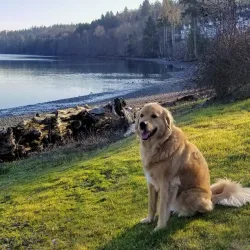 Semiahmoo Trail - Blaine