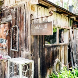 Allied Arts Park - Bonney Lake