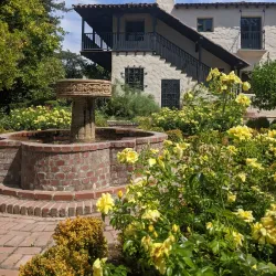 Allied Arts Park - Bonney Lake