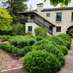 Allied Arts Park - Bonney Lake