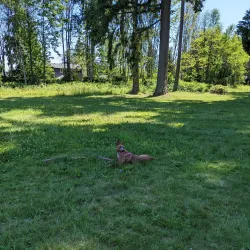 Bonney Lake Community Park - Bonney Lake