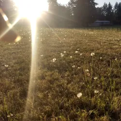 Bonney Lake Community Park - Bonney Lake
