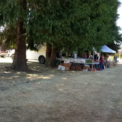 Bonney Lake Farmers Market - Bonney Lake