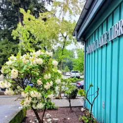 Bonney Lake Library - Bonney Lake