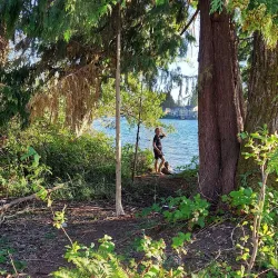 North Tapps Park - Bonney Lake