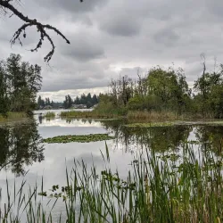 North Tapps Park - Bonney Lake