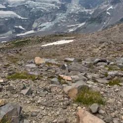 Sunrise Trailhead - Bonney Lake