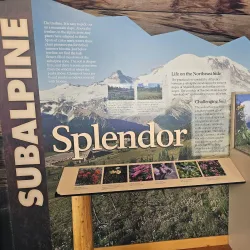 Sunrise Trailhead - Bonney Lake