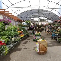 Bothell Farmers Market - Bothell