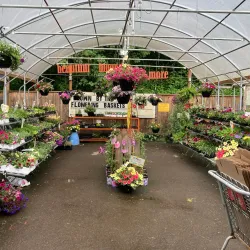 Bothell Farmers Market - Bothell