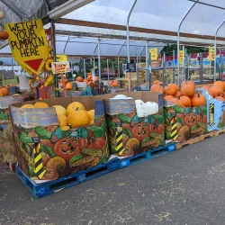 Bothell Farmers Market - Bothell