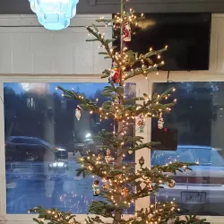 Bothell Farmers Market - Bothell