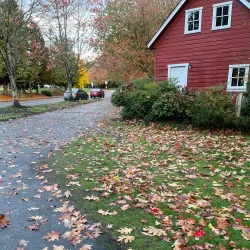 Bothell Historical Museum - Bothell