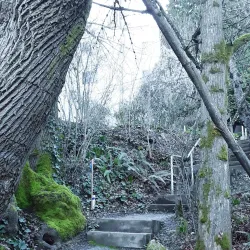 Burke-Gilman Trail - Bothell