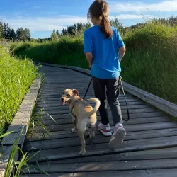 North Creek Park - Bothell