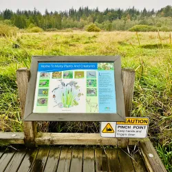 North Creek Park - Bothell