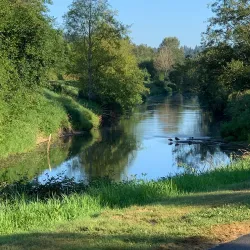 Sammamish River Trail - Bothell