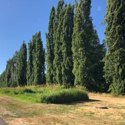 Sammamish River Trail - Bothell