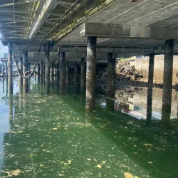 Bremerton Marina - Bremerton