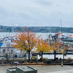 Bremerton Marina - Bremerton