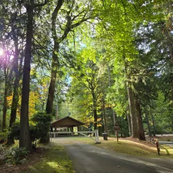 Illahee State Park - Bremerton