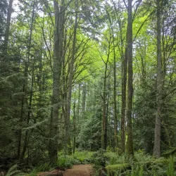 Illahee State Park - Bremerton