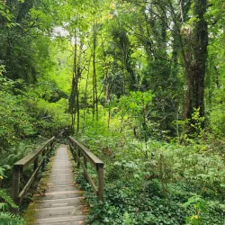 Illahee State Park - Bremerton