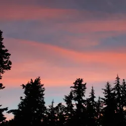 Brier Heritage Museum - Brier